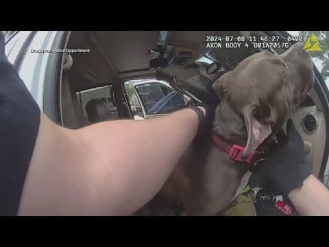 Florida police officer saves dog trapped in hot car