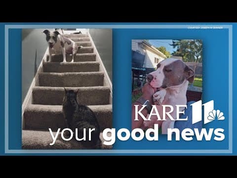 Your Good News: Stephanie Klein, Sharon Wood, Deanna Pugh, Bruce Johnson, Ann Reinitz, Joseph Skinne