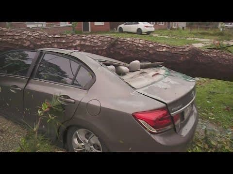 Tree crushes car in Slidell near Pontchartrain Drive