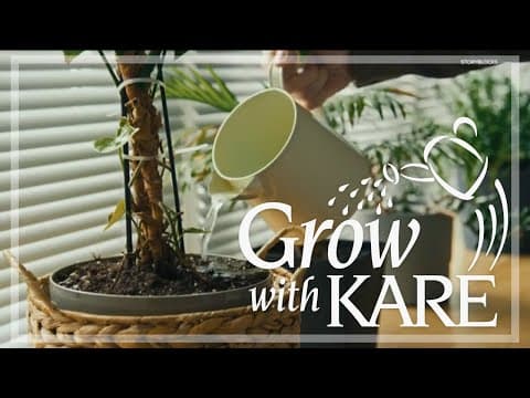 Grow with KARE: Five great water sources for houseplants