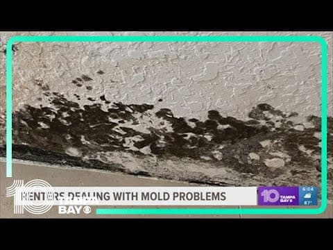 Florida renter struggles to get help with mold issues