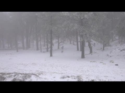 Strong storm dumps fresh snow on San Diego County mountains