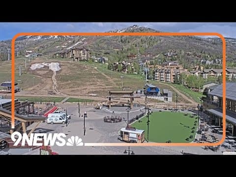 Black bear swipes at person on morning walk in Colorado