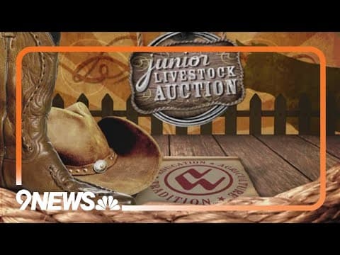 2024 National Western Junior Livestock Auction in Denver
