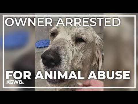 Washington woman arrested for shooting dog in head, dumping it in ditch