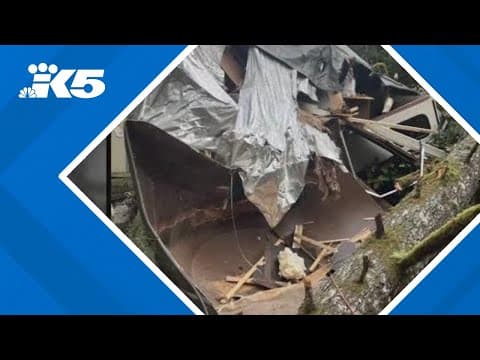 Family leaves Snohomish home just before devastating tree fall leaves it uninhabitable