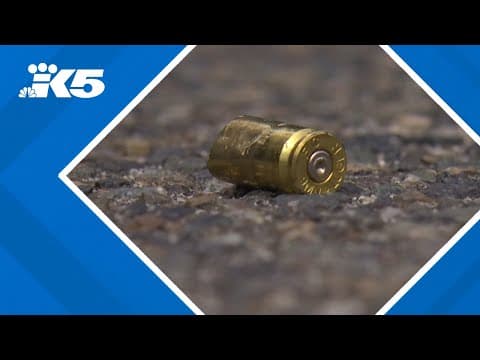 Suspect in Golden Gardens shooting released