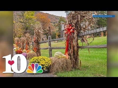 TVA hosting Autumn photography contest