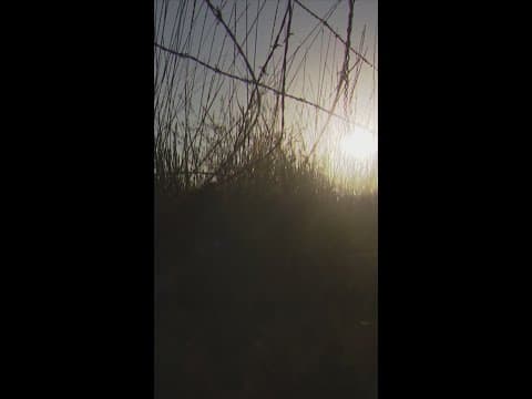 Homeowner says crash-prone intersection in Weld County needs a safety fix