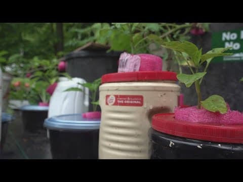 Retiree in Union County starts plant stand using hydroponic growing technique