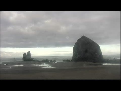 The cougar has left Haystack Rock at Cannon Beach | Watch live