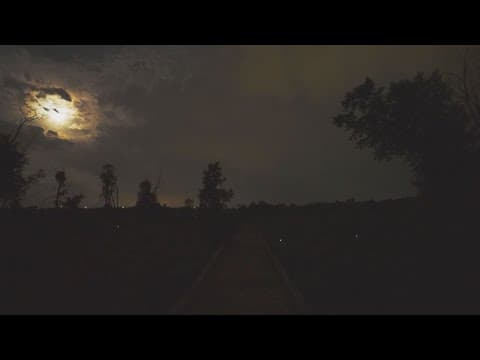 Fireflies flicker in northern Colorado wetland