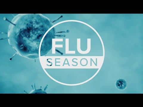 More than 1,000 students absent, suspected respiratory outbreak