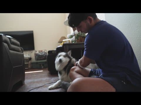 Frisco teen stabbed while walking his dog