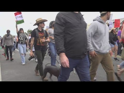 Hundreds rally against ICE raids in San Diego's South Park neighborhood