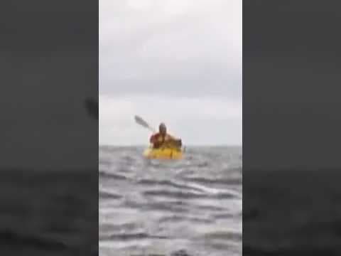 Whale Swallows Up Kayaker