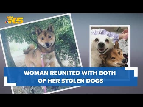 Tacoma woman reunited with both of her stolen dogs