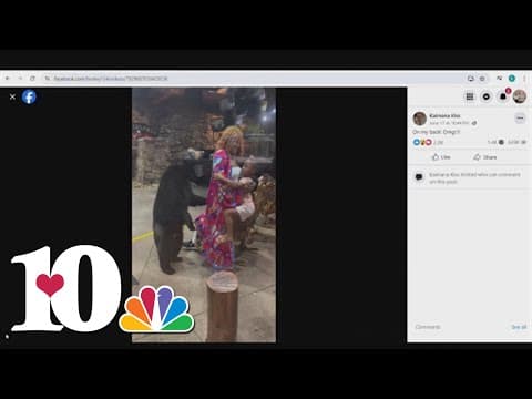 Authorities plan to euthanize bear after it made contact with a woman at Bearskin Lodge