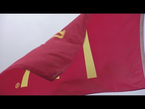 McDonalds sales are down year-over-year