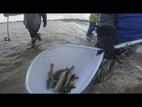 WATCH: Walz, Flanagan visit DNR fish hatchery