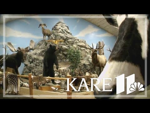 Taxidermist shortage in Minnesota