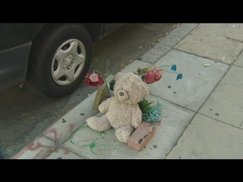 Memorials of pedestrians and cyclists struck by vehicles left around Barrio Logan