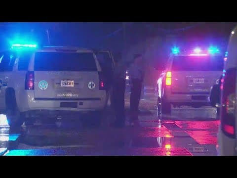 NOPD: 2 shot, one killed in Venetian Isle in New Orleans East