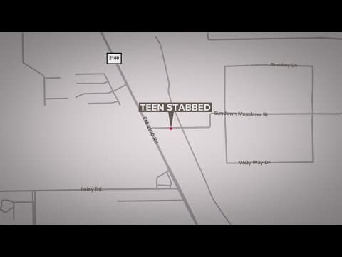 Teen flown to hospital after being 'severely stabbed' at house party in Crosby, HCSO says