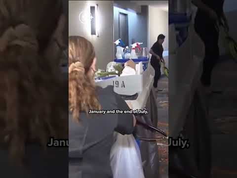 US immigrant workforce shrinks significantly amid policy concerns