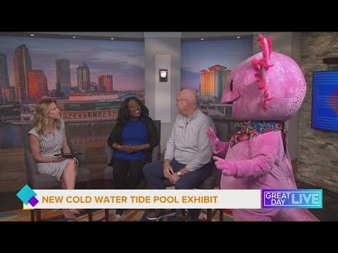 The Florida Aquarium Debuts New Tide Pool Exhibit
