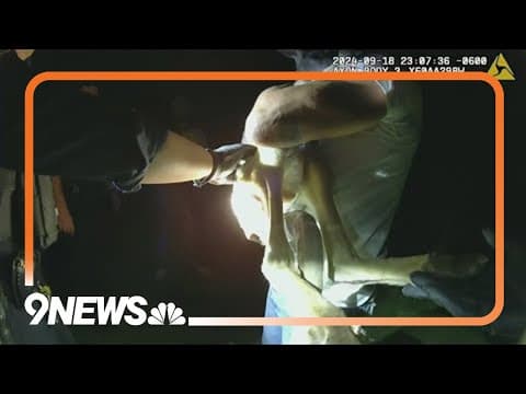 Police chase pet kangaroo wearing a diaper around Colorado town