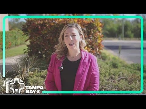 Local entrepreneur finds balance amid holiday stress and hurricane recovery