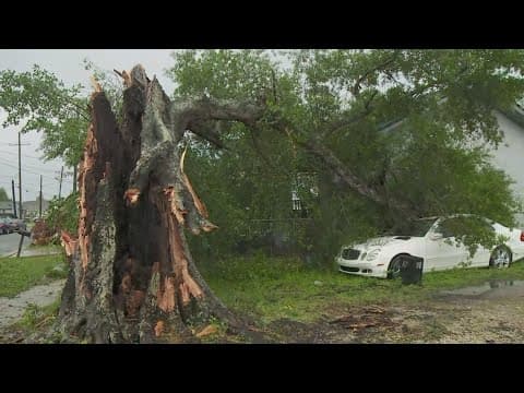 Large tree falls on New Orleans home after severe thunderstorms