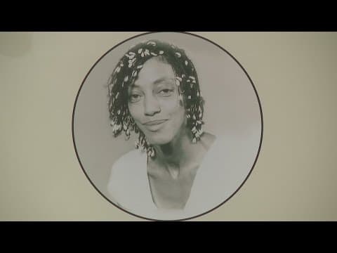 Iconic Aminah Robinson art vanishes in shipping mishap