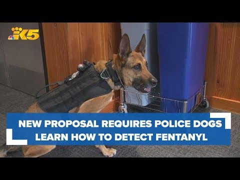 New proposal requires police dogs learn how to detect fentanyl