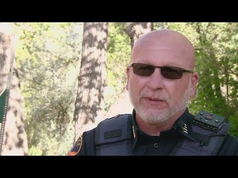 Former Morrison police chief, sergeant offered severance after resigning while under investigation