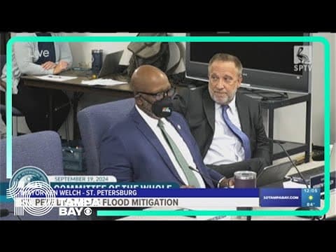 St. Pete leaders discuss ways to mitigate flooding across the city