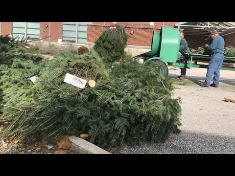 City of Columbus to provide free curbside Christmas tree disposal