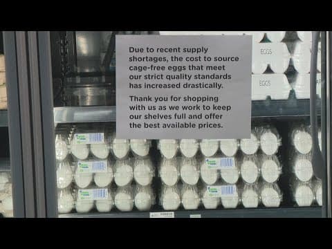 Bird flu affecting certain eggs at grocery stores