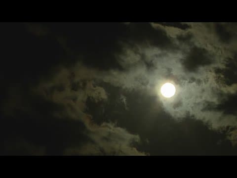 Here's why the Texas heat could have a major impact on your mental health