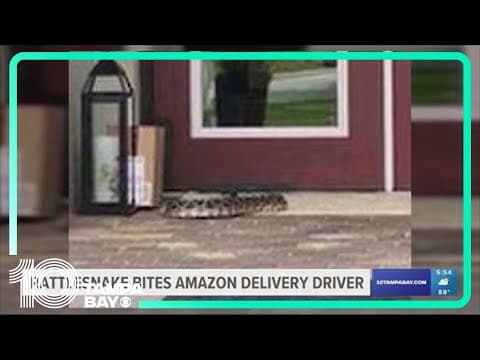Amazon driver in serious condition after being bitten by rattlesnake in Florida