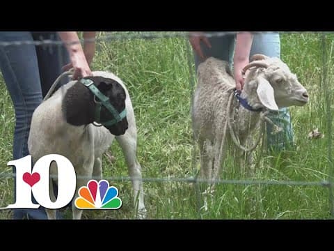 Fentress Co. school opens slaughterhouse on campus
