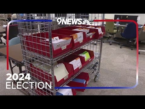 Election expert on the process of finalizing election race results