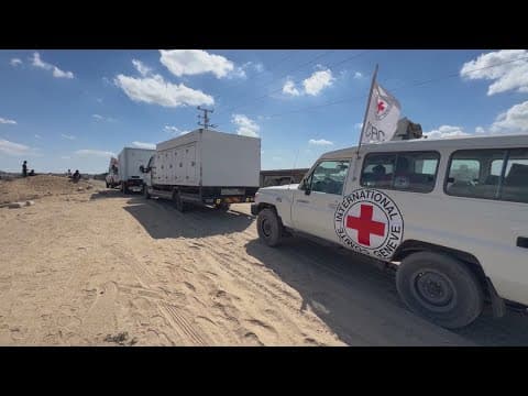 Israel halving the amount of humanitarian aid sent into Gaza as thousands face famine