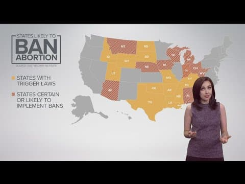 Abortion is still legal in Minnesota. What would it take for that to change?