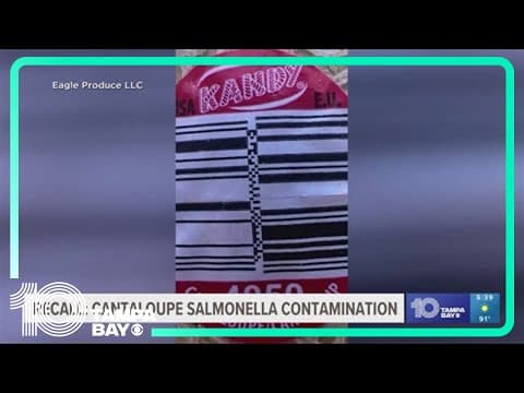 Cantaloupe recalled over salmonella contamination