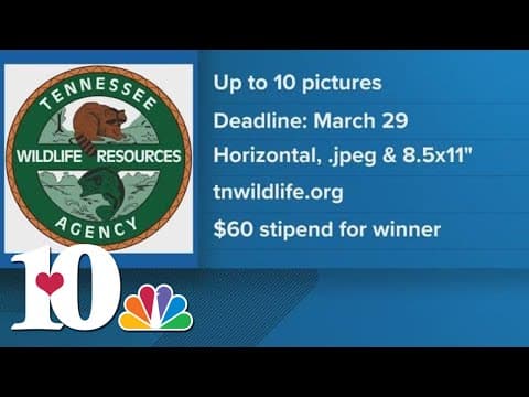 TWRA collecting photo submissions for 2024-2025 calendar contest