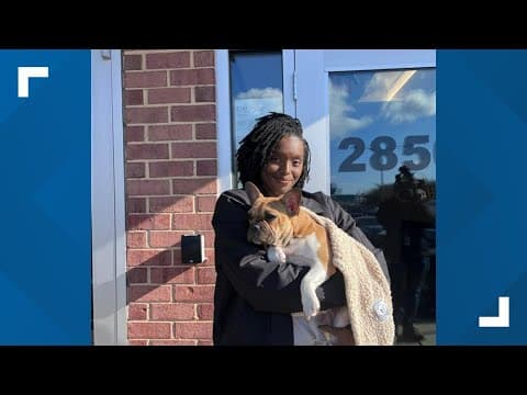 Stolen puppy reunited with owner