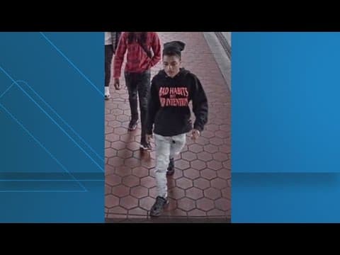 16-year-old boy pleads guilty to killing 18-year-old at Wheaton Metro