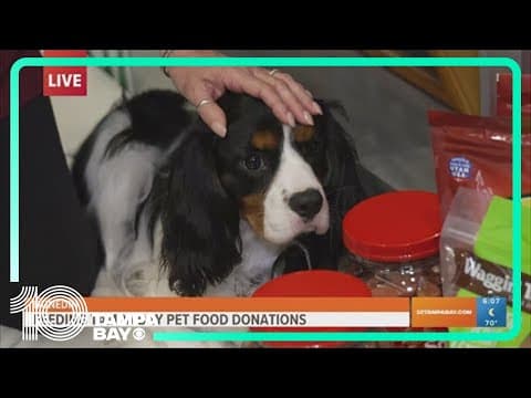 Feeding Tampa Bay collects pet food donations to help low-income families